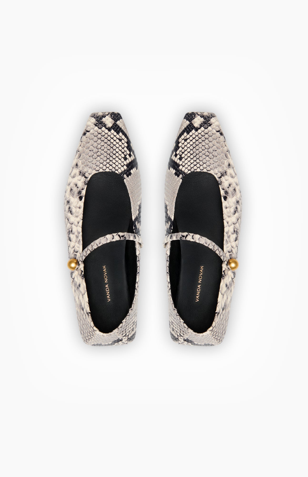 EVINA PYTHON GRAY 41 - Vanda Novak
