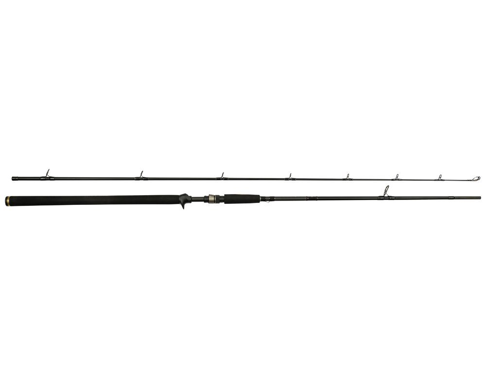 Westin Wędka Castingowa W3 Powercast-T 2nd 248cm 40-130g