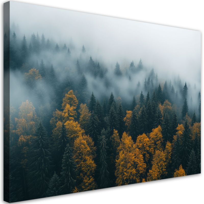 Obraz do salonu sypialni Feeby Las we mgle krajobraz 90x60cm 1szt