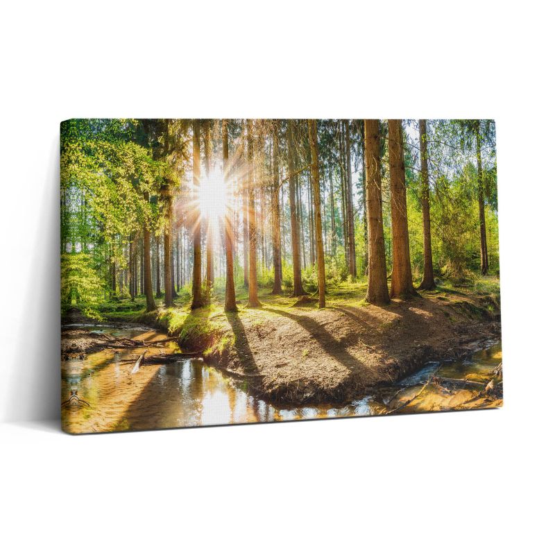Obraz na płótnie Wallfluent 30x20 cm Słońce za drzewami w lesie 1 szt.