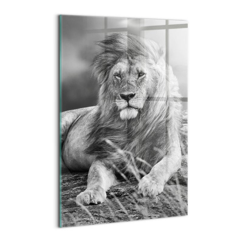 Foto Obraz Ścienny Szklany Wallfluent 40x60 cm Majestatyczne zwierzę lew 1 szt.