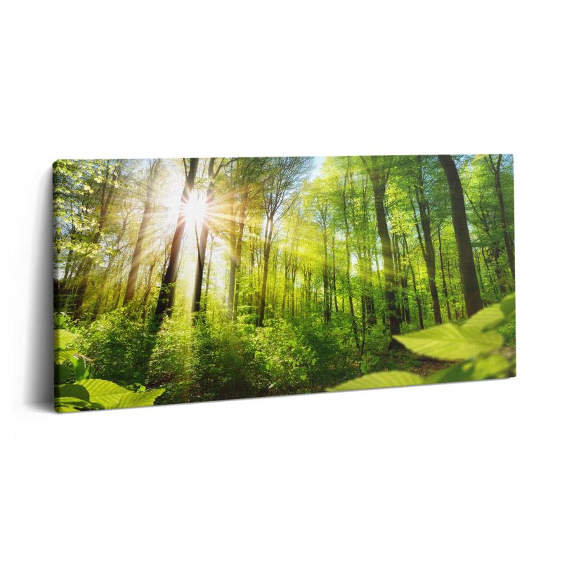 Obraz na płótnie Wallfluent 140x70 cm Promienie słoneczne w lesie 1 szt.