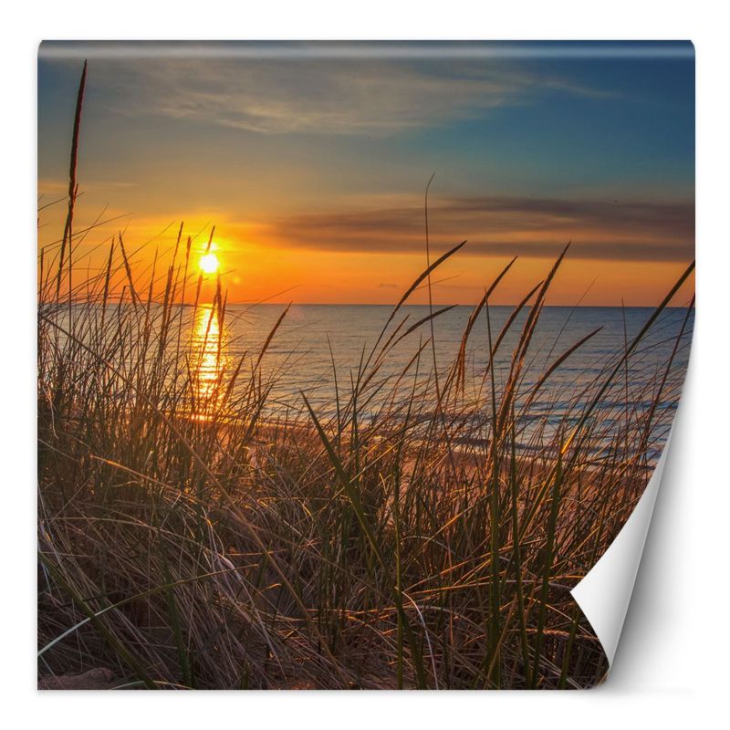 Fototapeta Feeby Zachód słońca nad morzem 100x100 1 szt