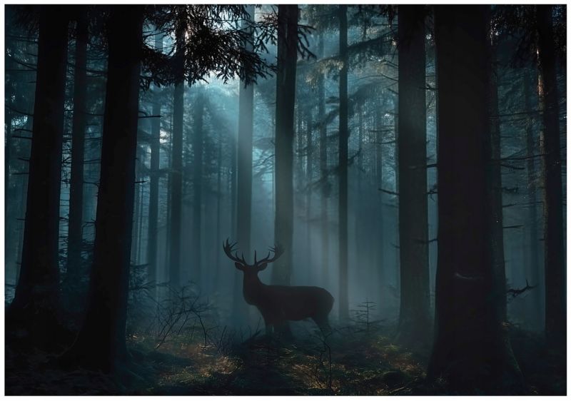 Fototapeta WALLARENA Do Sypialni Salonu Na Flizelinie Las Jeleń Drzewa 350x250 cm 1 szt.