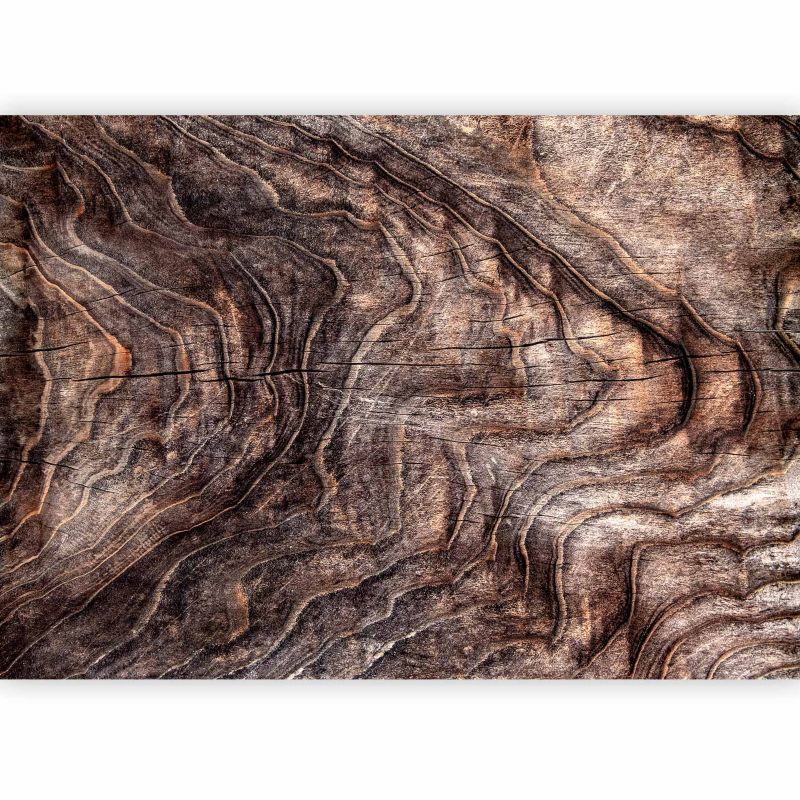 Fototapeta flizelinowa Artgeist 170 g/m2 wodoodporna Tła i desenie brązowa 350x245 (7 części) 10045aa rolka 1 szt