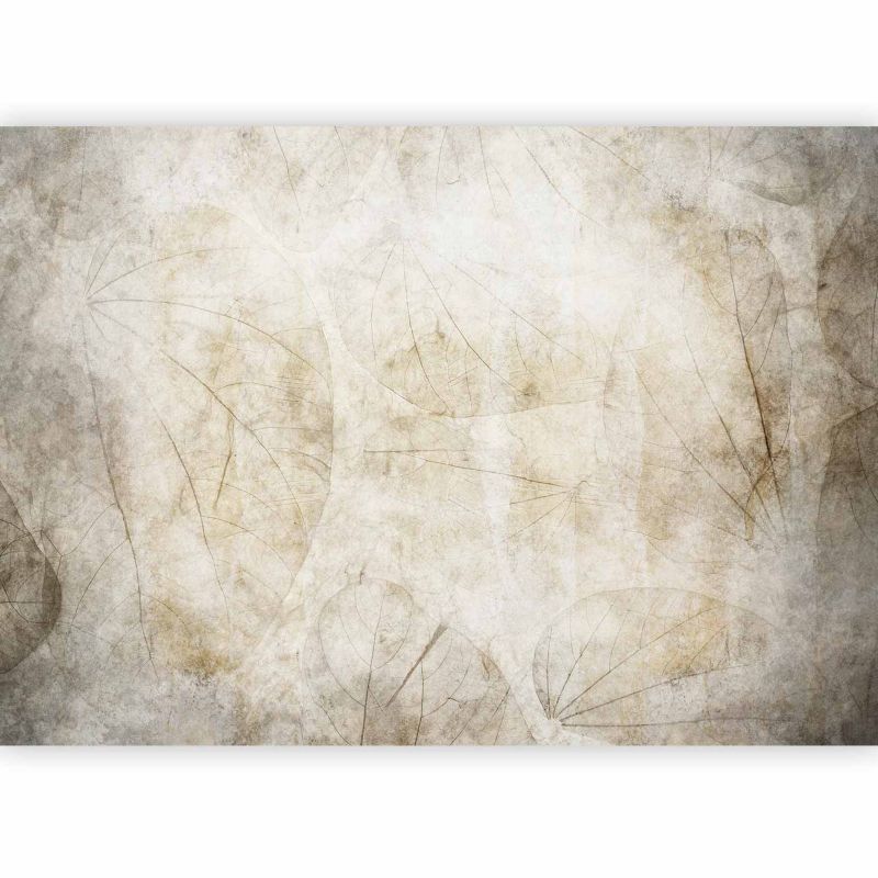 Fototapeta samoprzylepna Artgeist Abstrakcje szara 392x280 (8 części) 10024aa rolka 1 szt