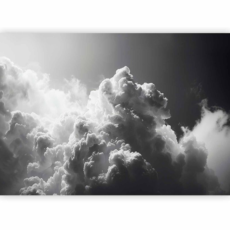 Fototapeta flizelinowa Premium Artgeist 155g/m2 Tła i desenie szara 400x280 (8 części) 10045aa rolka 1 szt