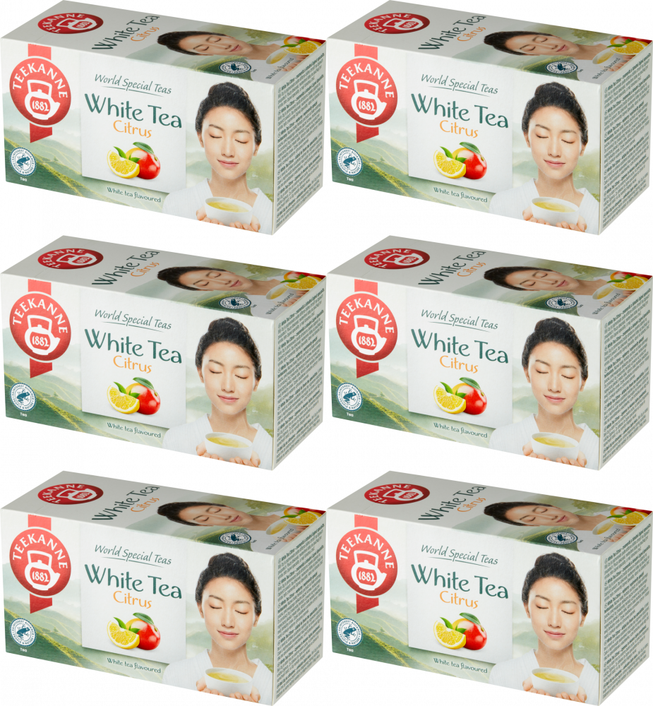 6x Herbata biała smakowa w kopertach Teekanne White Tea Citrus, cytryna i mango, 20 sztuk x 1.25g