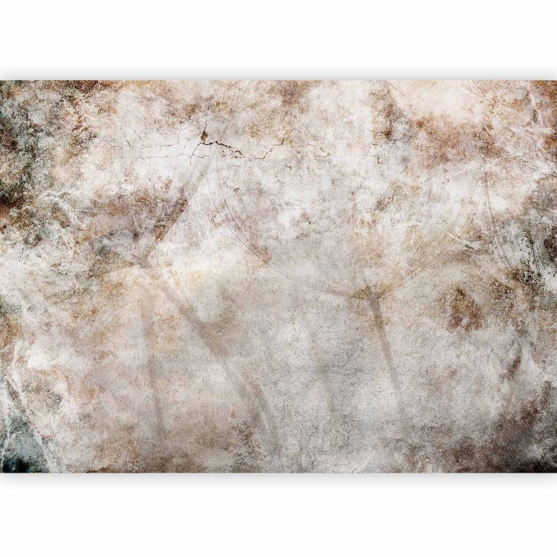 Fototapeta flizelinowa Artgeist 170 g/m2 wodoodporna Kwiaty szara 450x315 (9 części) 10027aa rolka 1 szt