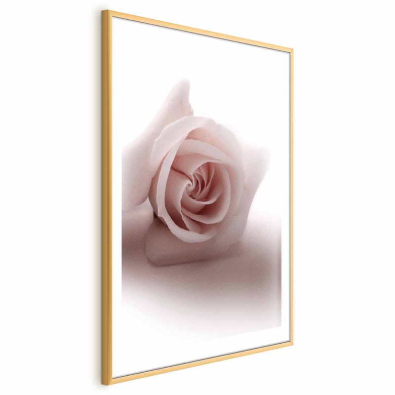 Plakat Artgeist Różany cień 29,7x42 cm z ramą złotą 1 szt