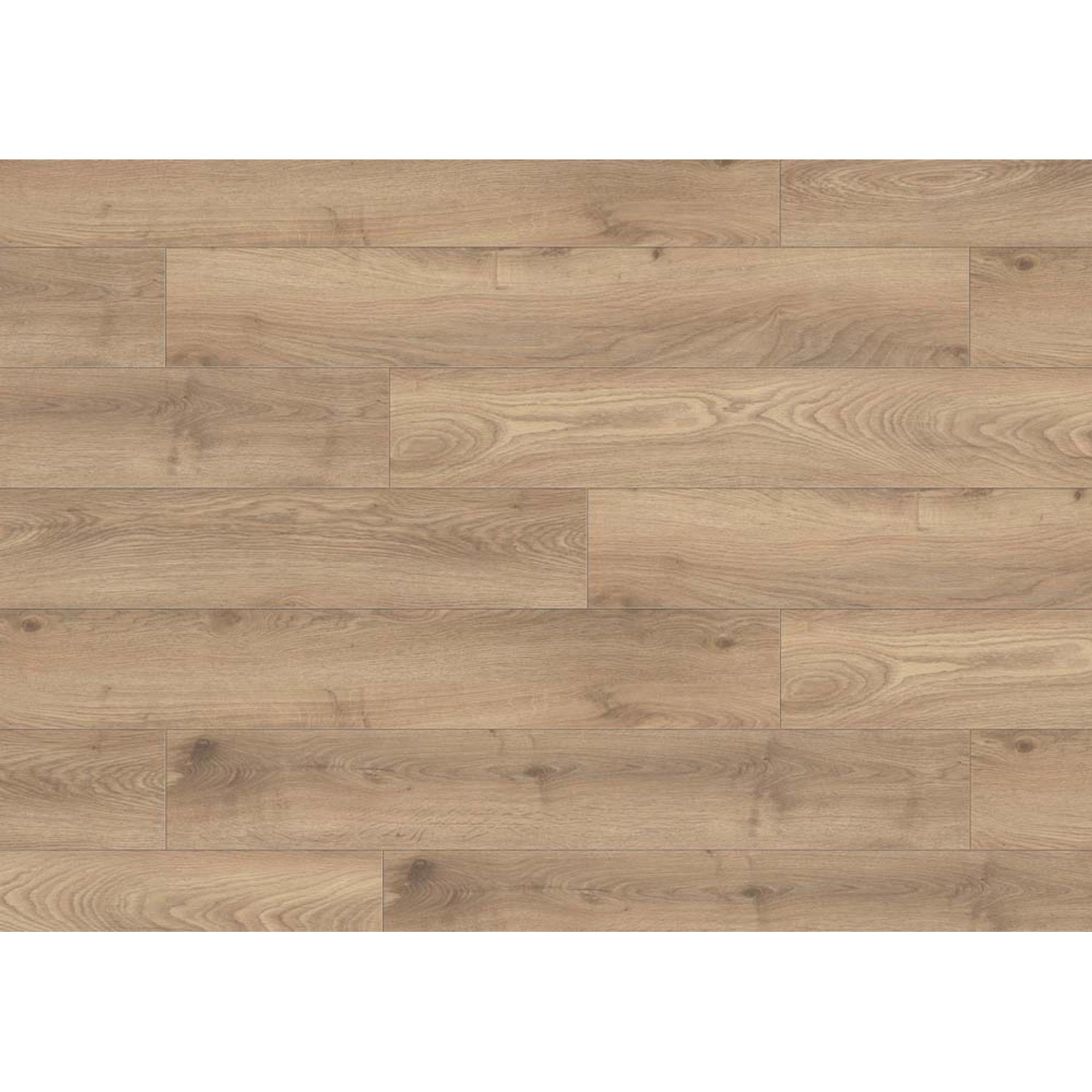 Panel podłogowy Dąb Vireni 10 mm AC 6