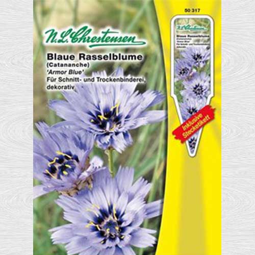 1 pac, Albăstrea Armor Blue - Semințe: Mod de ambalare: 1 pac