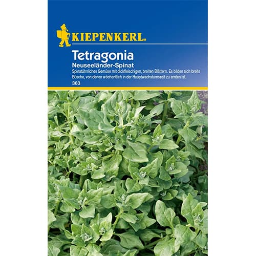 1 szt, Spinat - Tetragonia Neuseeländer - Samen: Ilość w opakowaniu: 1 Stück