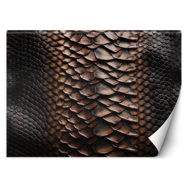 Fototapeta Feeby Skóra węża 250x175 1 szt
