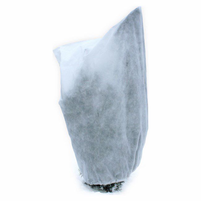 Kaptur ochronny średni 2 szt.