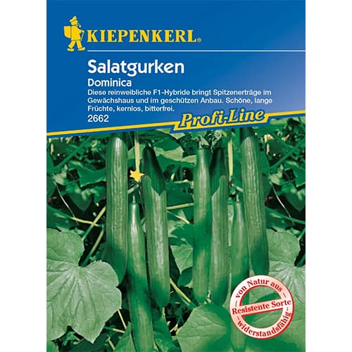 1 pac, Castraveți de salată Dominica - Semințe: Mod de ambalare: 1 pac