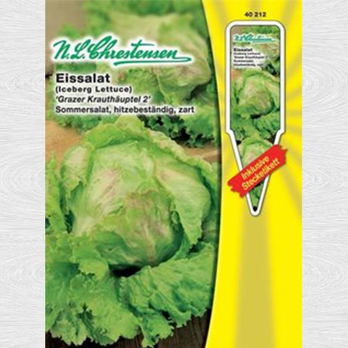 1 pac, Salată iceberg Grazer Krauthäuptel - Semințe: Mod de ambalare: 1 pac