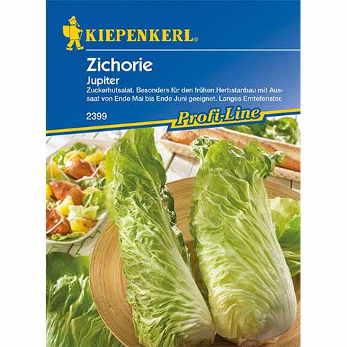 1 pac, Cicoare albă (radicchio) Jupiter - Semințe: Mod de ambalare: 1 pac