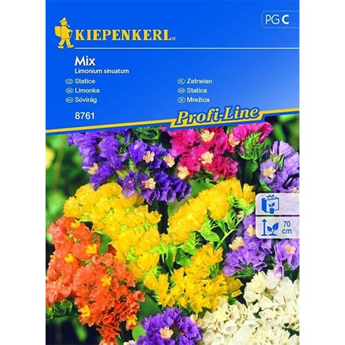 1 pac, Limonium sinuatum (Sărăturică), mix multicolor - Semințe: Mod de ambalare: 1 pac