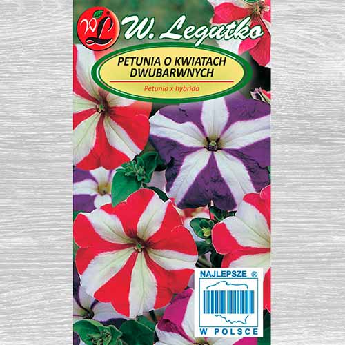 1 pac, Petunie Star F2, mix multicolor - Semințe: Mod de ambalare: 0.01 g