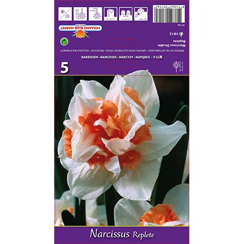 5 szt., Narcyz pełny Replete - Cebule: Ilość w opakowaniu: 5 szt.