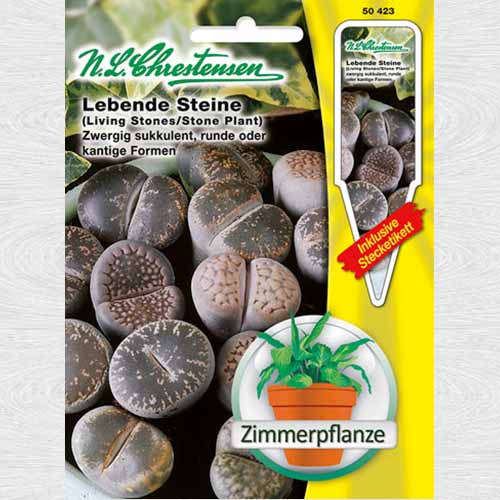 1 pac, Lithops (Piatră vie) - Semințe: Mod de ambalare: 1 pac