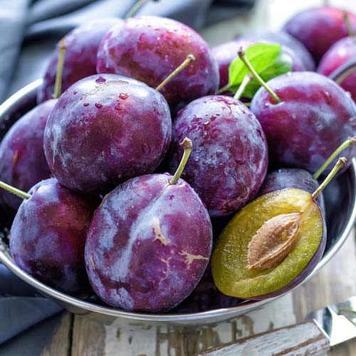 1 buc, Prun Vânăt de Italia - : Mod de ambalare: 1 buc