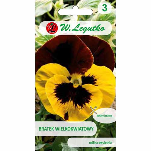 1 pac, Panseluțe cu flori mari Red Wings - Semințe: Mod de ambalare: 0.5 g