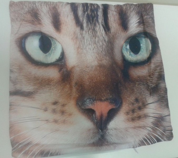 Foto Poszewka na poduszkę z mikrofibry 40x40 wz. 90 Kot