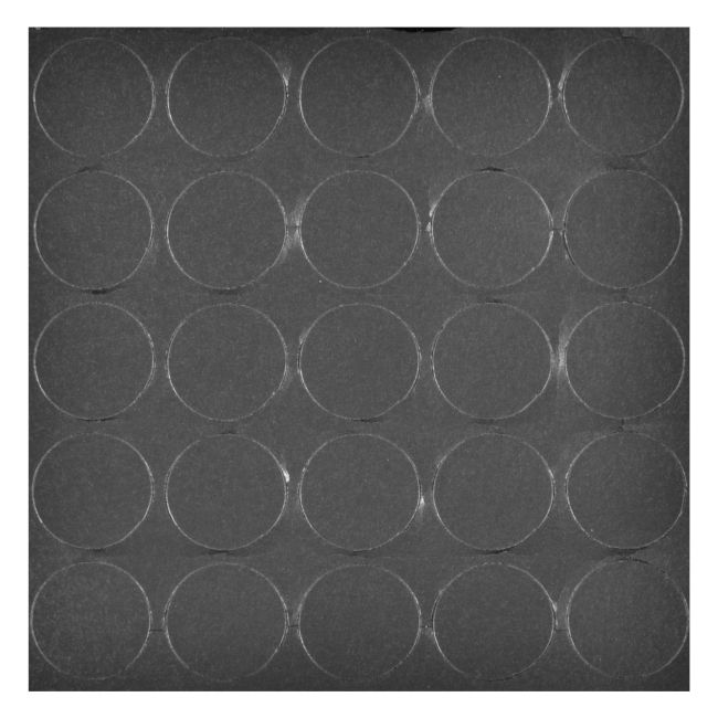 Zaślepka Diall 14 mm czarny gładki 25 szt.