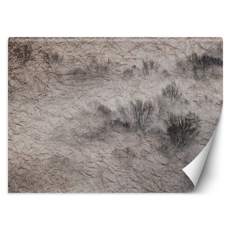 Fototapeta Feeby Łąka we mgle 250x175 1 szt