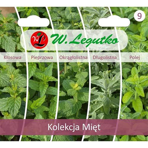 1 szt, Kolekcja Mięt, 5 odmian - Nasiona: Ilość w opakowaniu: 1 opak