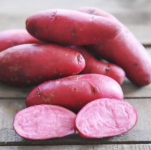 1 kg, Cartofi de sămânță Mulberry Beauty - Tuberculi: Mod de ambalare: 1 kg