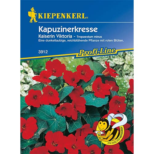 1 szt, Sarkantyúvirági Queen Victoria - Magok: Mod de ambalare: 1 db