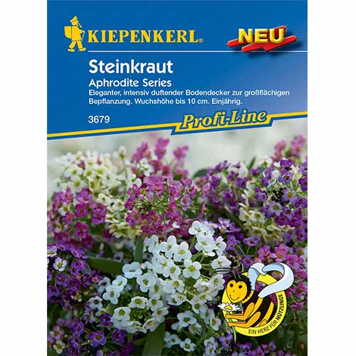 1 szt, Steinkraut Aphrodite Series - Samen: Ilość w opakowaniu: 1 Stück