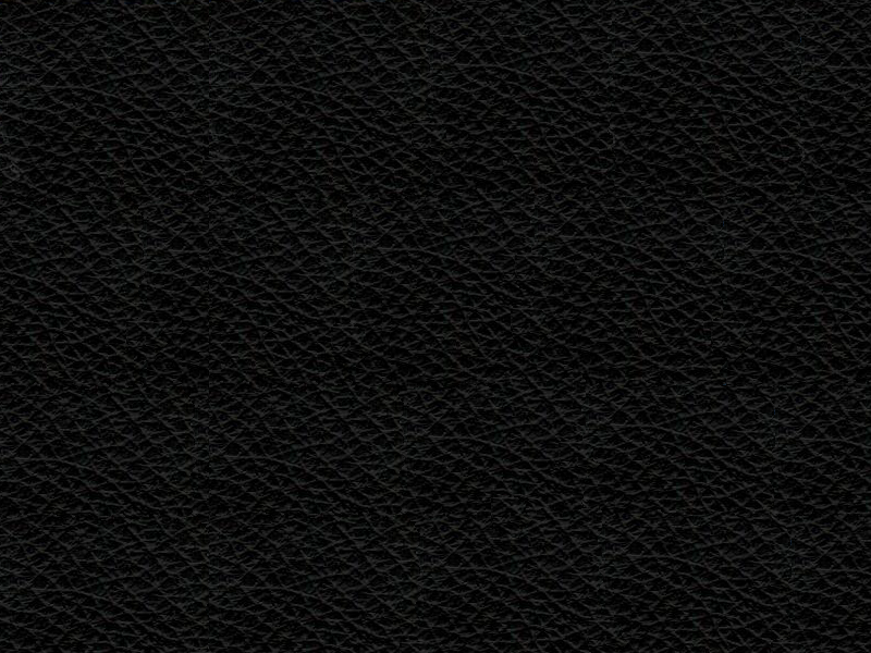 WAU 2 fotel biurowy czarny, skóra naturalna 3 kolory (Kolor: FL-4)