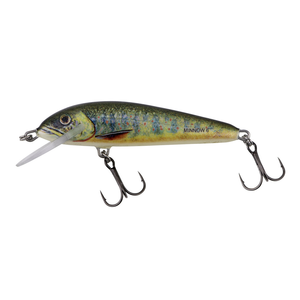 Salmo Wobler Minnow 5cm Pływający Lake Charr