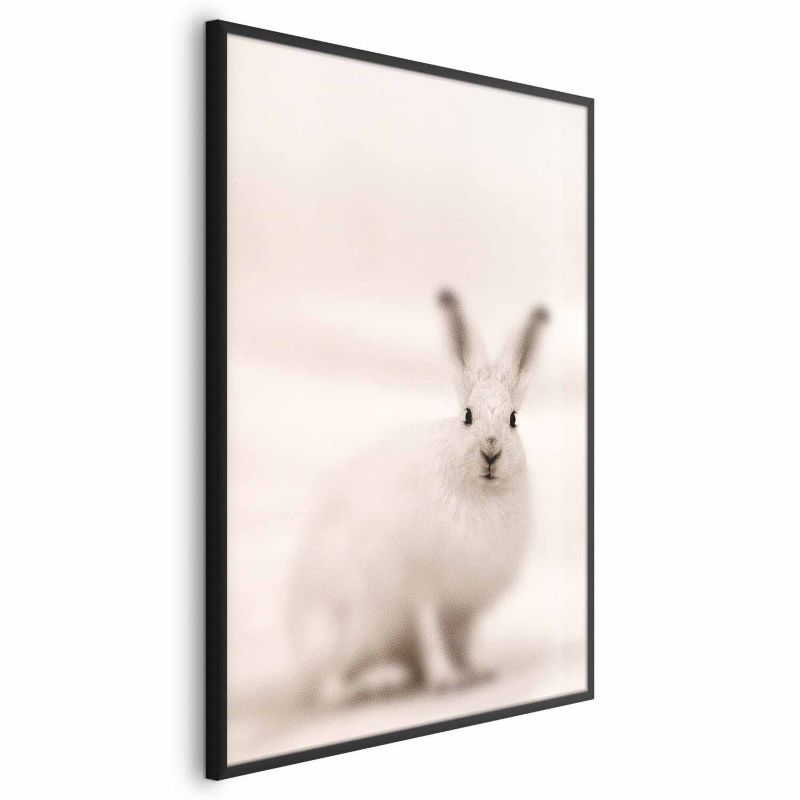 Plakat Artgeist Strachliwe spojrzenie 21x30 cm z ramą czarną 1 szt