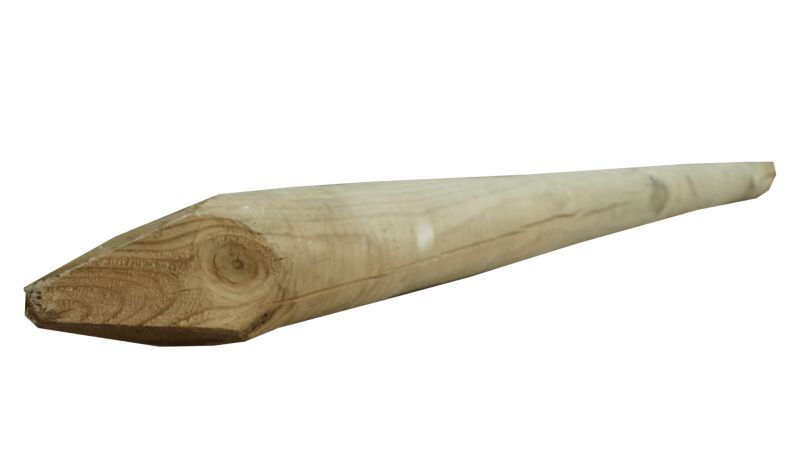 Palisada faza/szpic Roma 8x200 cm 1szt.