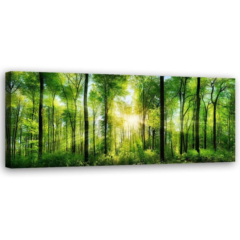 Obraz do salonu pokoju biura Feeby Las Natura Zielony 90x30cm 1szt