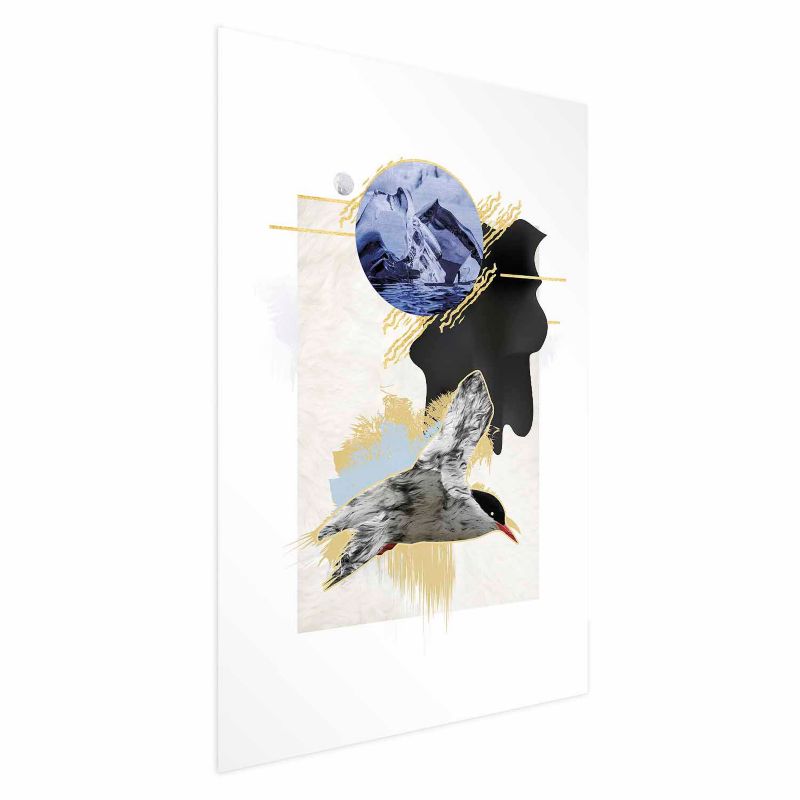 Plakat Artgeist Rybitwa antarktyczna 21x30 cm bez ramy 1 szt