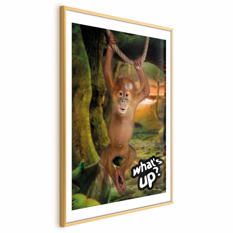 Plakat Artgeist What's Up 40x60 cm z ramą złotą z marginesem 1 szt