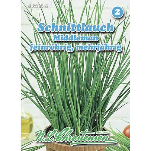 Szczypiorek Middleman - Nasiona. Ilość w opakowaniu: 1 opak - GradinaMax