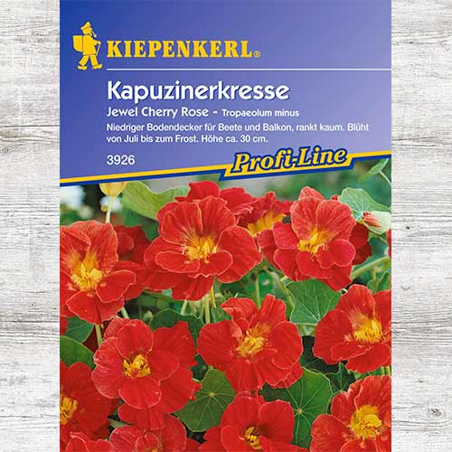 1 szt, Nasturcja mniejsza Jewel Cherry Rose - Nasiona: Ilość w opakowaniu: 1 opak