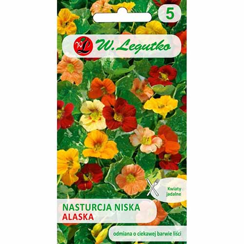 1 szt, Nasturcja niska Alaska, mieszanka Legutko - Nasiona: Ilość w opakowaniu: 3 g