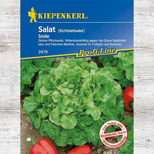 1 szt, Sałata dębolistna Smile - Nasiona: Ilość w opakowaniu: 1 opak