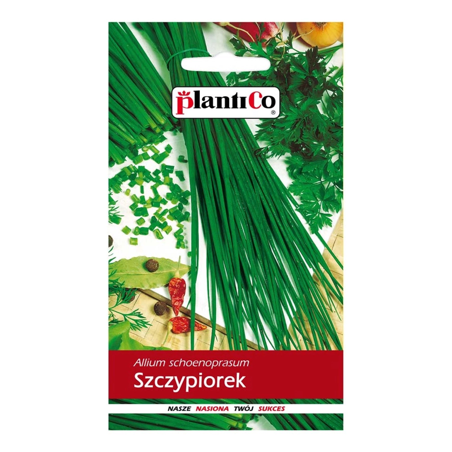 Szczypiorek ogrodowy