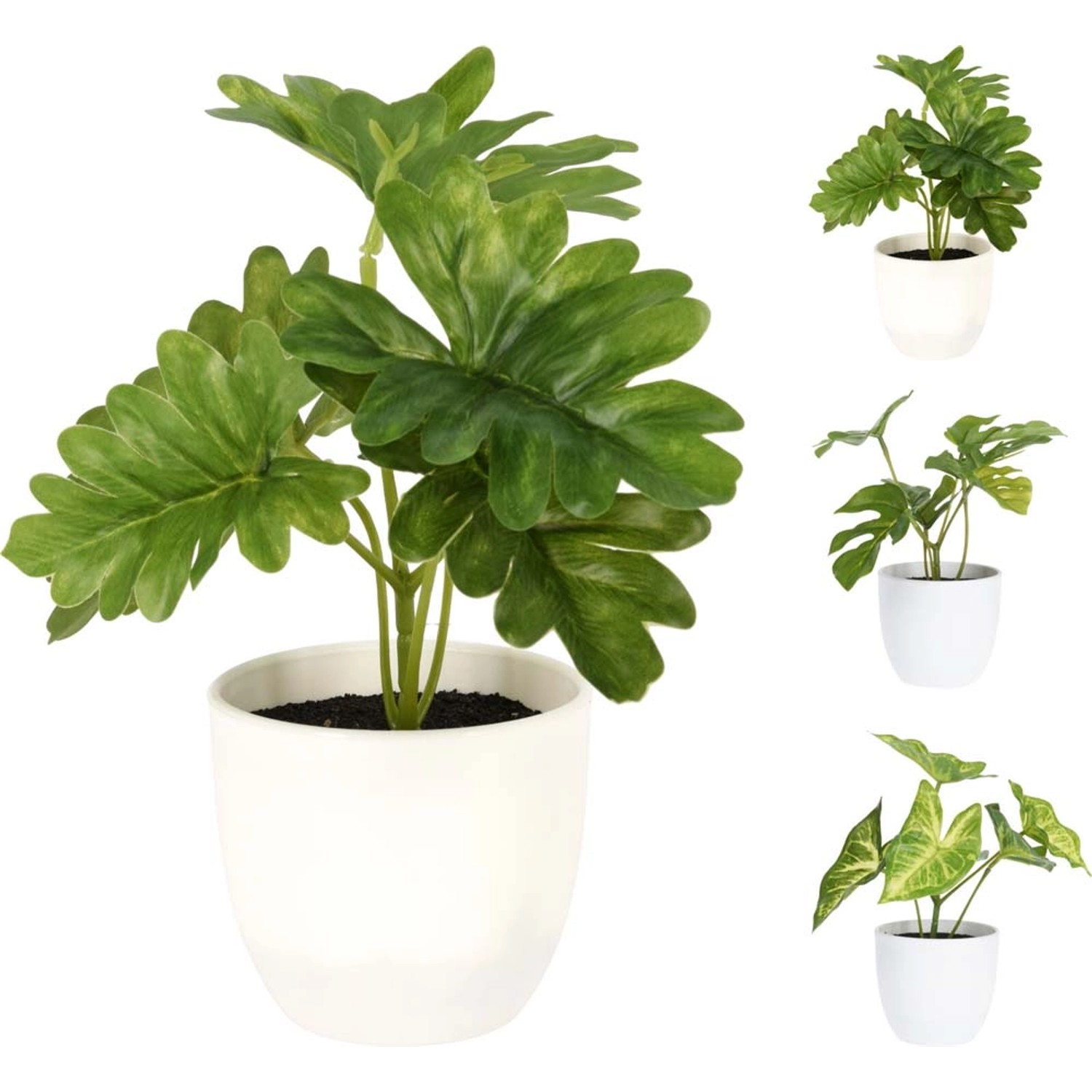 Roślina zielona biała osłonka - wys. 17,5 cm