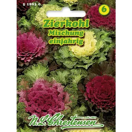 1 pac, Varză ornamentală, mix multicolor - Semințe: Mod de ambalare: 1 pac
