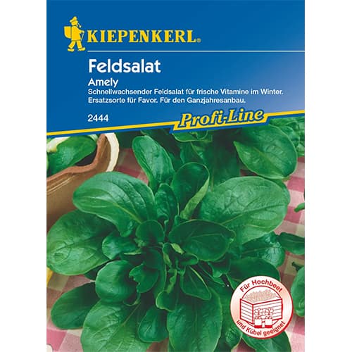 1 pac, Salată de câmp (Fetică) Amely - Semințe: Mod de ambalare: 1 pac